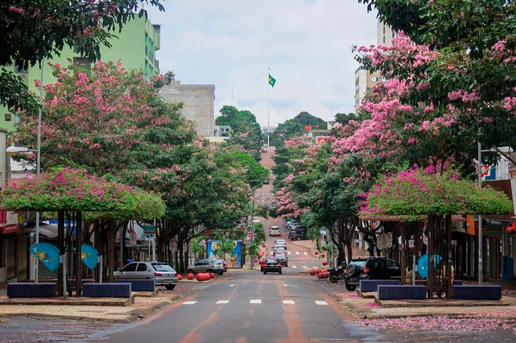 Como Se Locomover em Foz do Iguaçu