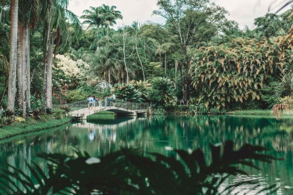 inhotim arte e natureza