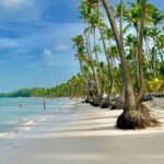 o que saber antes de uma viagem para punta cana